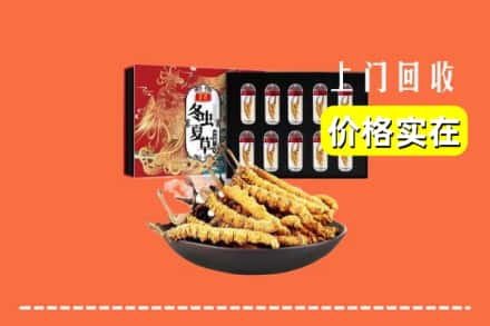 红河州河口回收冬虫夏草